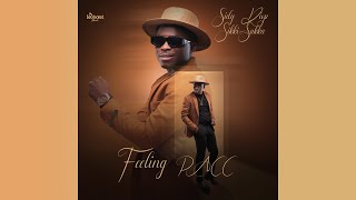 Sidy Diop  Feeling PACC Feat Astar Audio Clip Officiel  Un extrait de lalbum SIKKI SAKKA [upl. by Tager534]