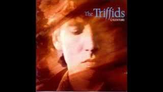 the Triffids  hometown farewell kiss [upl. by Troyes]