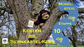 Moselsteig Etappe 10 Von Kesten nach BernkastelKues [upl. by Ahsirek]