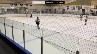 LHA 14U AA Vs Steelheads 14U AA 20241018 [upl. by Aicilec]