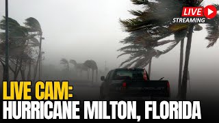 LIVE CAM Hurricane Milton 2024  View from Tampa Florida [upl. by Ornstead739]