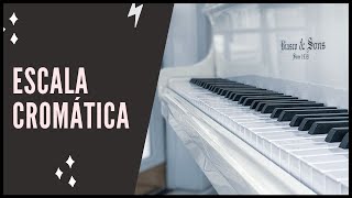 ESCALA CROMATICA al PIANO  Digitación correcta [upl. by Annoeik]