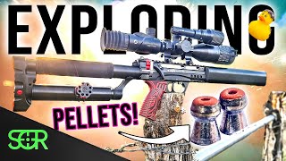 CRAZIEST Pellets I’ve EVER had  Exploding Ammo [upl. by Dhar]