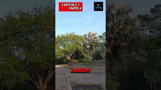 parte 4 Cap1😱 ARMERO ES PARANORMAL⁉️ [upl. by Iorgo]