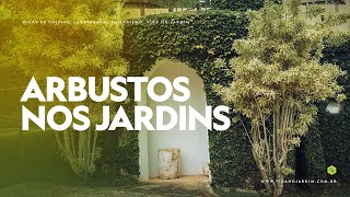 As FUNÇÕES dos ARBUSTOS nos JARDINS [upl. by Yurt]