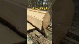 Beautiful big white pine lumber coming off the sawmill frick sawmilllife [upl. by Teodora]