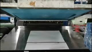 Automatic Flat Screen Printing Machine [upl. by Kandace114]