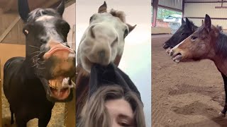 Funny and Cute Horse Videos  compilation [upl. by Idelle]