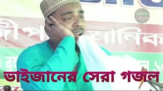 Falak par chand jaisa hai পীরজাদা আব্বাস সিদ্দিকী হিন্দি গজল Abbas bhaijaner hindi gojol [upl. by Sillert]