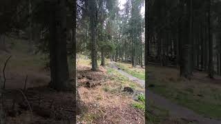 Rogla bike park [upl. by Ayatal34]