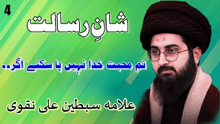 RabiulAwal Program ShaneRisalat Alama Sibtain Naqvi [upl. by Yellah]