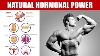 Why Old School Bodybuilders Used Glandulars motivation bodybuilding health [upl. by Adias269]