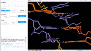 Tuto Libmol ADN SVT Hervé Kempf Lycée de lElorn [upl. by Eeniffar]