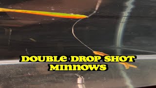 DOUBLE DROPSHOT MINNOWS  FOR BIG TROUT shorts [upl. by Fredric]