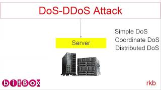 DoS DDoS attack in bangla with kali linux [upl. by Rector734]