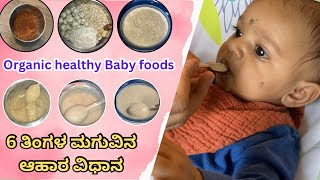 6 ತಿಂಗಳ ಮಗುವಿನ ಆಹಾರ  organic healthy baby foods  Kannada vlogs [upl. by Gerald]