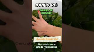 🌿🍋💚Banho energético com folhas de limoeiro [upl. by Zsazsa512]