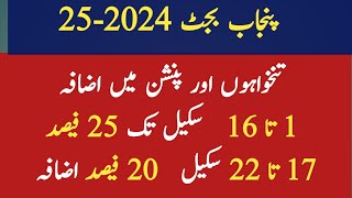 how much salary amp pension increase in Punjab budget 202425 [upl. by Bauer]