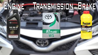 Learn to change 3 important oils on your Camry without paying dealer anymore [upl. by Naihtsirc606]