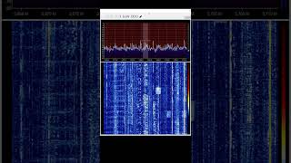 Kurzwellen RTL SDR Live [upl. by Hermann545]