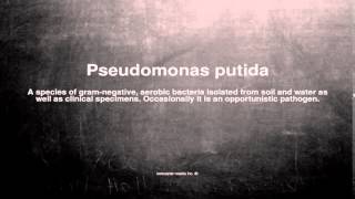 Medical vocabulary What does Pseudomonas putida mean [upl. by Libnah]