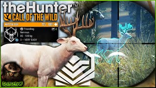 MY RAREST TROPHY SUPER RARE Diamond ALBINO Whitetail Deer Call of the wild [upl. by Haswell54]