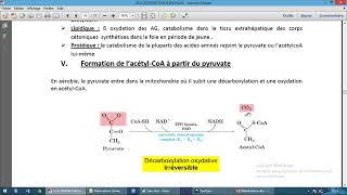 Métabolisme des glucides 2 [upl. by Neerhtak]