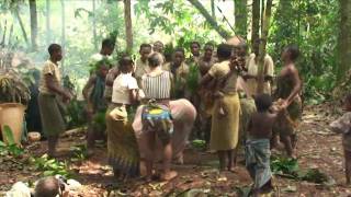 BaAka pygmy dance Central African Republic [upl. by Ahsai]