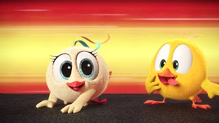 At full speed  Wheres Chicky  Cartoon Collection in English for Kids  New episodes HD [upl. by Franciska]