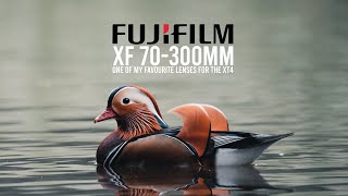 FUJIFILM 70300MM REVIEW  6 MONTHS LATER [upl. by Enelrac777]