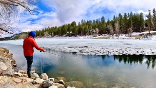 Trout Fishing amp SOLO Camping Surrounded by COYOTES at Night [upl. by Ecinert]