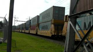 Panama canal Container train thru Albrook with friendly engineer and nice K5LA [upl. by Karolina]