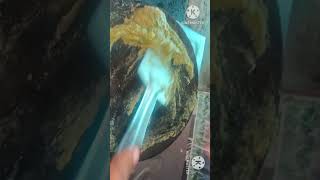 raasi tips dosa dawa seasoning tips tamileasyhometips kitchentip usefulltips moneysavingtip [upl. by Reste]