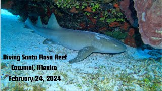 SCUBA Diving Santa Rosa Reef Cozumel Mexico 242024 [upl. by Onitsuj]