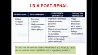 INSUFICIENCIA RENAL AGUDA PARTE 2 [upl. by Hesta]