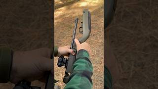 22 LR Survival Rifle fyp fypシ゚ shorts 22lr hunting outdoors asmr bugoutbag camping ruger [upl. by Letnuahc]