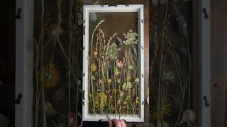 Artist is placing dried flowers to create a pressed flower piece of artwork [upl. by Eigroeg160]