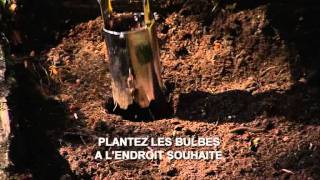 Astuce de jardin Floralux Planter des bulbes [upl. by Galer399]