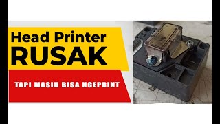 bisa ngeprint dengan printer rusak [upl. by Levy900]