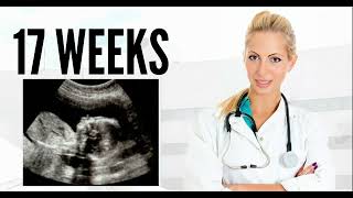 17 WEEKS ULTRASOUND 17 weeks pregnant ultrasound pregnancy ultrasound 17 weeks [upl. by Perlie718]