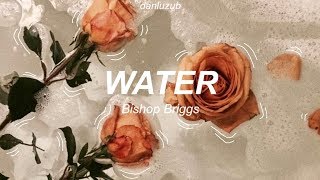 Bishop Briggs  Water  Lyrics ☆彡 [upl. by Yolane]