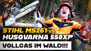 🌲🤘 Vollgas im Wald  STIHL MS 261 C vs Husqvarna 550 XP Mark II [upl. by Freda]