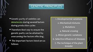 GENETIC PRINCIPLES SEED PRODUCTION [upl. by Mosera800]