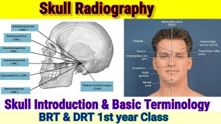 Skull Introduction amp Basic Terminology  Skull amp Face Radiography  By BL Kumawat [upl. by Sualokcin97]