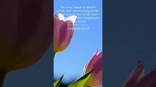 Bible  Jeremiah 4829  We have heard of Moabs pride h [upl. by Longerich]