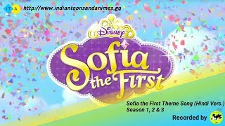 Sofia the First Theme Hindi Vers Season 1 2 amp 3 with Lyrics [upl. by Trauts406]