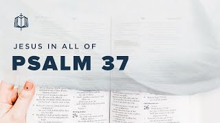 Psalm 37  Do Not Be Anxious  Bible Study [upl. by Colt]