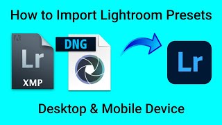 How to Import Lightroom Presets DNG amp XMP  Free Night Preset [upl. by Nottus288]