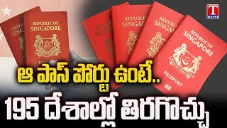 Worlds Most Powerful Passports 2024  Which Are The Top 10 Strongest Passports In World  T News [upl. by Brogle]