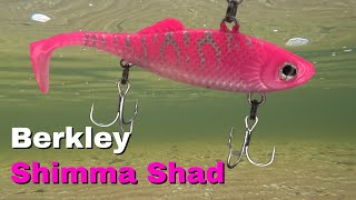 How Does The Berkley Shimma Shad Soft Vibe Look Underwater  FISHING [upl. by Niamrahc523]